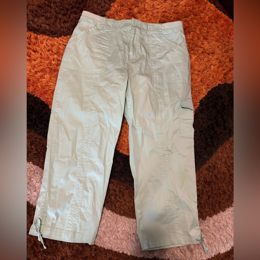 Christopher & banks, Mint Green, Capri Pants